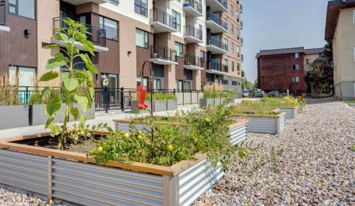 luxury rental apartment Edmonton 5