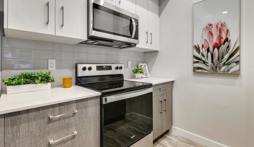 luxury apartments in Edmonton 14